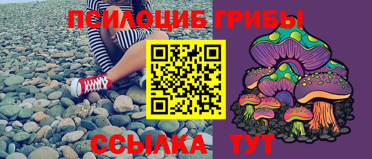 Галлюциногенные грибы Magic Shrooms  Псилоцибиновые грибы MAGIC MUSHROOMS  Казань  Вход с VPN 
